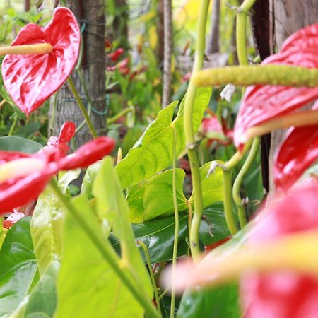 La Kaz Fleur Vanille Saint-Benoît Exteriér fotografie
